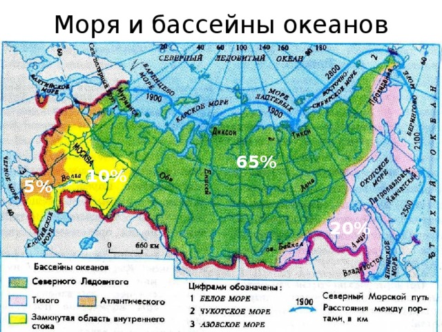 Моря и бассейны океанов 65% 10% 5% 20% 