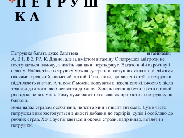 П Е Т Р У Ш К А Петрушка багата дуже багатьма вітамінами: А, В 1, В 2, РР, К. Дивно, але за вмістом вітаміну С петрушка анітрохи не поступається лимону, а навіть навпаки, перевершує. Багато в ній каротину і селену. Найчастіше петрушку можна зустріти в наступних салатах зі свіжими овочами: грецький, овочевий, літній. Слід знати, що листя і стебла петрушки підсилюють апетит. А також її можна пожувати в невеликих кількостях після трапези для того, щоб освіжити дихання. Зелень повинна бути на столі цілий рік: адже це вітаміни. Тому дуже багато хто знає як проростити петрушку на балконі. Вона надає стравам особливий, неповторний і пікантний смак. Дуже часто петрушка використовується в якості добавки до гарнірів, супів і особливо до рибних страв. Хоча зустрічаються й окремі страви, наприклад, котлети з петрушки. 