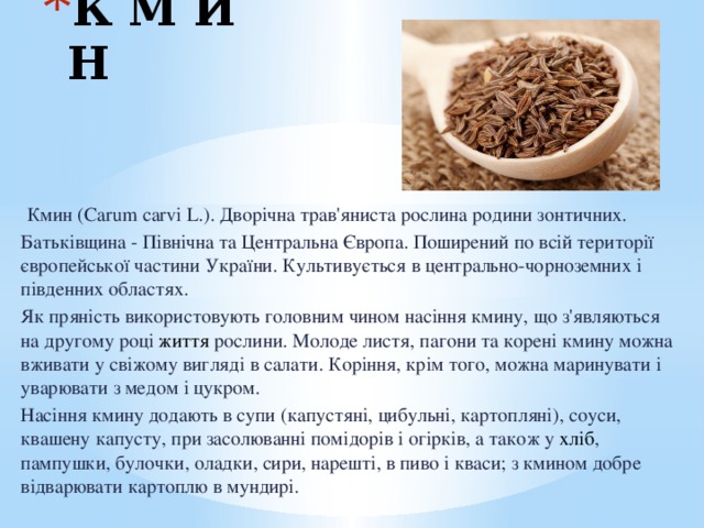 К М И Н  Кмин (Carum carvi L.). Дворічна трав'яниста рослина родини зонтичних. Батьківщина - Північна та Центральна Європа. Поширений по всій території європейської частини України. Культивується в центрально-чорноземних і південних областях. Як пряність використовують головним чином насіння кмину, що з'являються на другому році життя рослини. Молоде листя, пагони та корені кмину можна вживати у свіжому вигляді в салати. Коріння, крім того, можна маринувати і уварювати з медом і цукром. Насіння кмину додають в супи (капустяні, цибульні, картопляні), соуси, квашену капусту, при засолюванні помідорів і огірків, а також у хліб , пампушки, булочки, оладки, сири, нарешті, в пиво і кваси; з кмином добре відварювати картоплю в мундирі. 