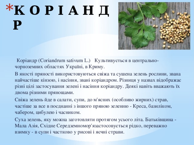 К О Р І А Н Д Р  Коріандр (Coriandrum sativum L.) Культивується в центрально-чорноземних областях Україні, в Криму. В якості пряності використовуються свіжа та сушена зелень рослини, звана найчастіше кінзою, і насіння, звані коріандром. Різниця у назвах відображає різні цілі застосування зелені і насіння коріандру. Деякі навіть вважають їх двома різними прянощами. Свіжа зелень йде в салати, супи, до м'ясних (особливо жирних) страв, частіше за все в поєднанні з іншого пряною зеленню - Креса, базиліком, чабером, цибулею і часником. Суха зелень, яку можна заготовляти протягом усього літа. Батьківщина - Мала Азія, Східне Середземномор'язастосовується рідко, переважно взимку - в супи і частково у рисові і яєчні страви. 3 