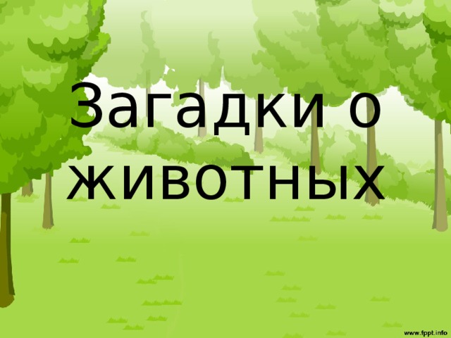 Загадки о животных 