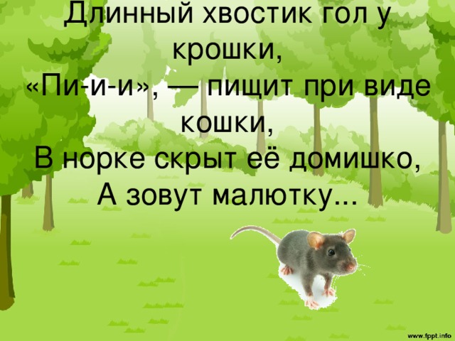 Длинный хвостик гол у крошки,  «Пи-и-и», — пищит при виде кошки,  В норке скрыт её домишко,  А зовут малютку... 