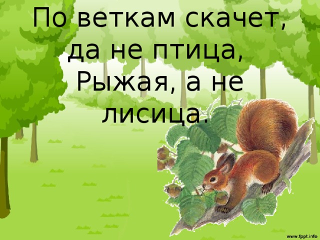 По веткам скачет, да не птица,   Рыжая, а не лисица.    