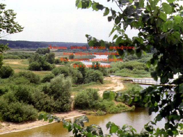 Ломанць шачема –касома ширьфтема, кода цёфкссь морофтома. Фкя ломантть шачема ширец,  фкя сонь и тядяц. . 