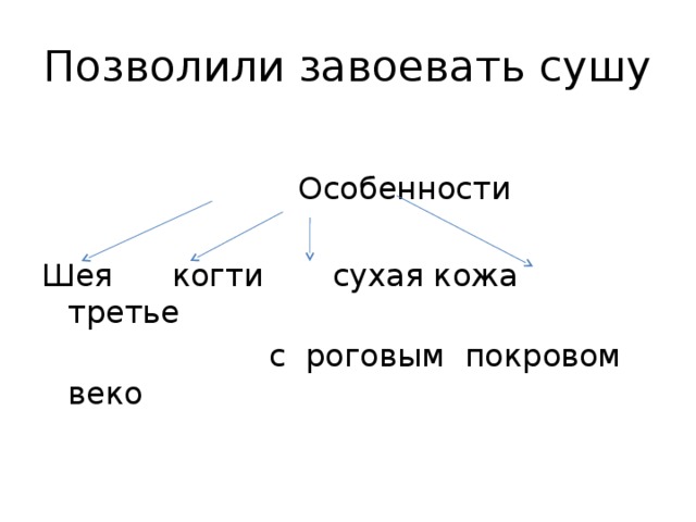 Позволили завоевать сушу  Особенности Шея когти сухая кожа третье  с роговым покровом веко 