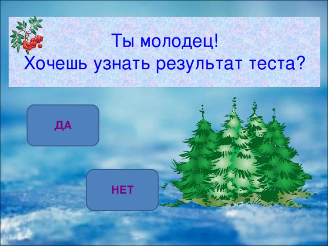 Ты молодец!  Хочешь узнать результат теста? ДА НЕТ 