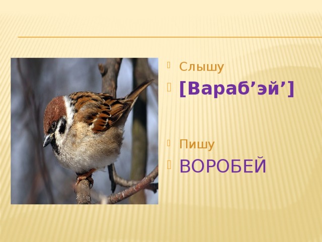 План текста воробей на часах