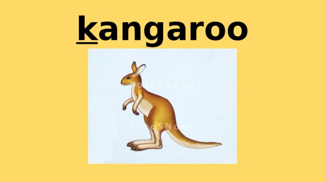 k angaroo 