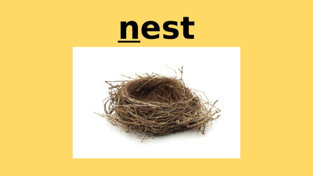 n est 