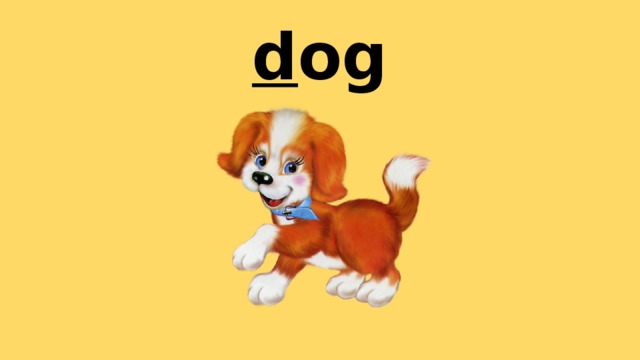 d og 