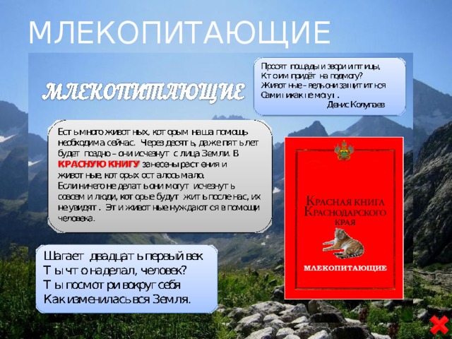 Красная книга Краснодарского края