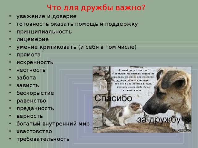 Что для дружбы важно?   уважение и доверие готовность оказать помощь и поддержку принципиальность лицемерие умение критиковать (и себя в том числе) прямота искренность честность забота зависть бескорыстие равенство преданность верность богатый внутренний мир хвастовство требовательность 