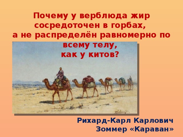 Что находится внутри горба верблюда Еще раз о теплопередаче".