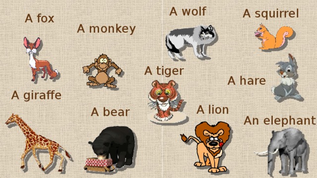 A wolf A squirrel A fox  A monkey  A tiger A hare A giraffe  A lion  A bear  An elephant