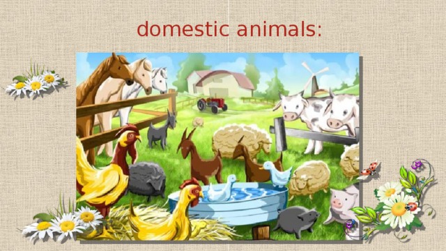 domestic animals: