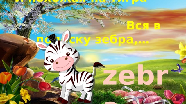 И похожая на тигра Вся в полоску зебра,… zebra