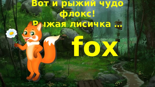 Вот и рыжий чудо флокс!  Рыжая лисичка … fox