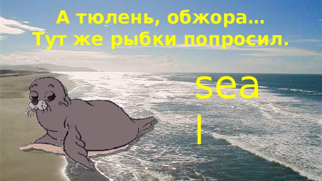 А тюлень, обжора…  Тут же рыбки попросил. seal