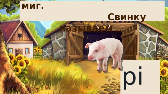 Кушать хочет каждый миг. Свинку называем … pig