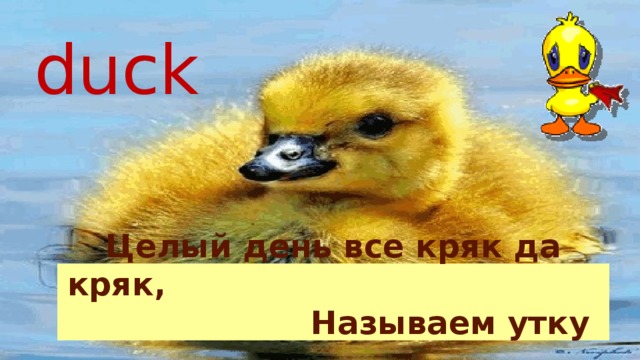 duck Целый день все кряк да кряк, Называем утку …