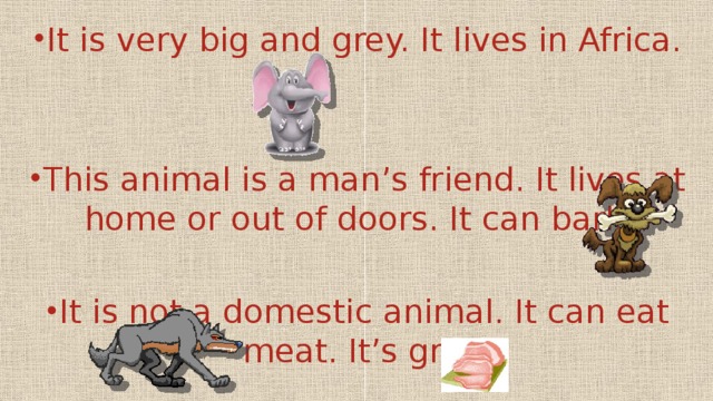 It is very big and grey. It lives in Africa. This animal is a man’s friend. It lives at home or out of doors. It can bark. It is not a domestic animal. It can eat meat. It’s grey.