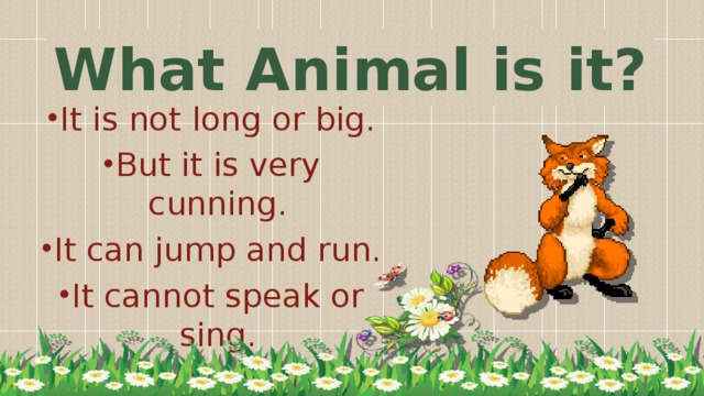 What Animal is it?