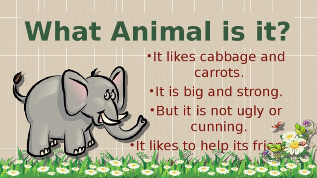 What Animal is it?