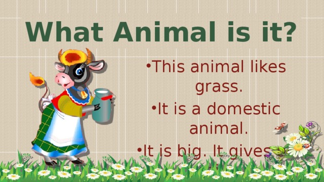 What Animal is it?