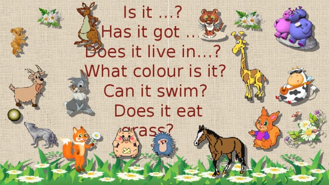 Is it …?  Has it got …?  Does it live in…?  What colour is it?  Can it swim?  Does it eat grass?
