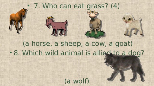 7. Who can eat grass? (4) (a horse, a sheep, a cow, a goat) 8. Which wild animal is allied to a dog?