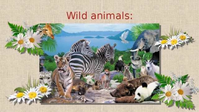 Wild animals: