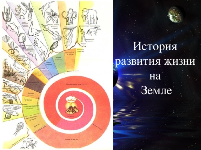 История  развития жизни  на  Земле   