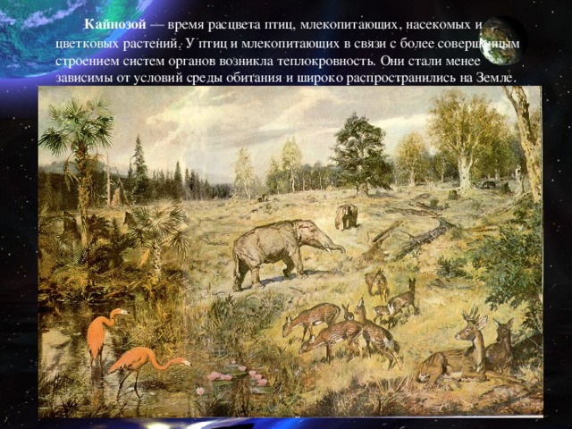   Кайнозой — время расцвета птиц, млекопитающих, насекомых и цветковых растений. У птиц и млекопитающих в связи с более совершенным строением систем органов возникла теплокровность. Они стали менее зависимы от условий среды обитания и широко распространились на Земле. 