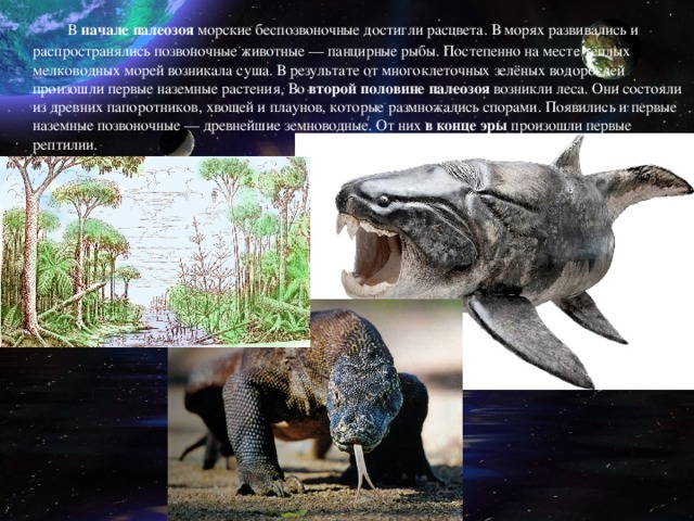   В начале палеозоя морские беспозвоночные достигли расцвета. В морях развивались и распространялись позвоночные животные — панцирные рыбы. Постепенно на месте тёплых мелководных морей возникала суша. В результате от многоклеточных зелёных водорослей произошли первые наземные растения. Во второй половине палеозоя возникли леса. Они состояли из древних папоротников, хвощей и плаунов, которые размножались спорами. Появились и первые наземные позвоночные — древнейшие земноводные. От них в конце эры произошли первые рептилии. 
