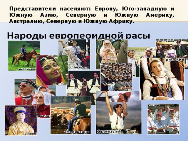 Представители населяют: Европу, Юго-западную и Южную Азию, Северную и Южную Америку, Австралию, Северную и Южную Африку. 
