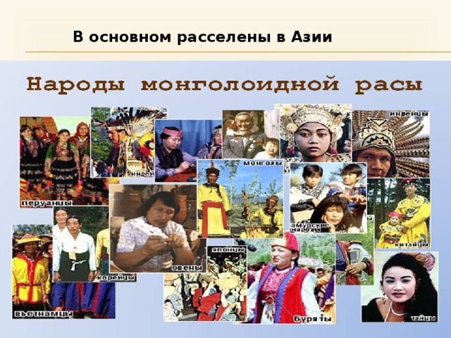 В основном расселены в Азии 