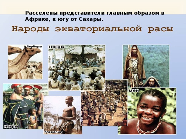 Расселены представители главным образом в Африке, к югу от Сахары. 