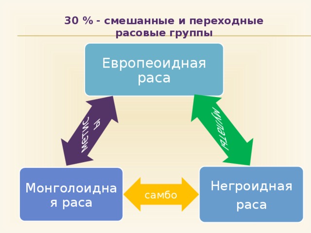 мулаты самбо метисы 30 % - смешанные и переходные расовые группы Европеоидная раса Негроидная раса Монголоидная раса 