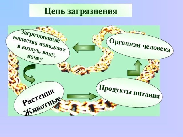 Окружающий мир 3 класс экологическая безопасность презентация 3 класс