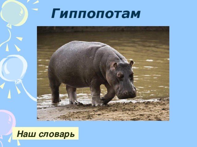 Презентация про бегемота