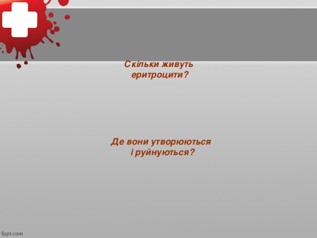 Скільки живуть еритроцити? Де вони утворюються і руйнуються?