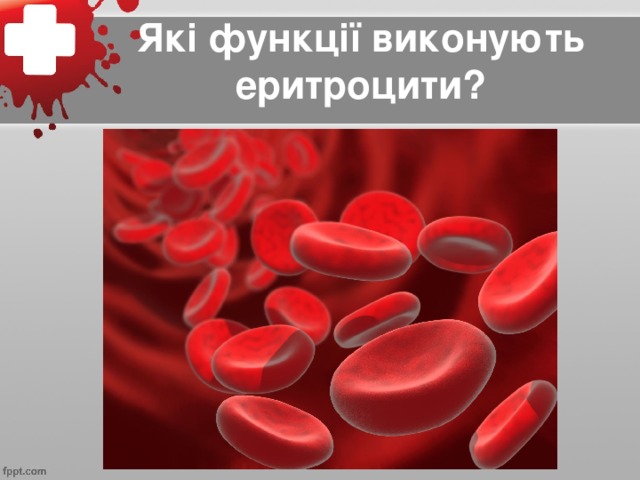 Які функції виконують еритроцити?