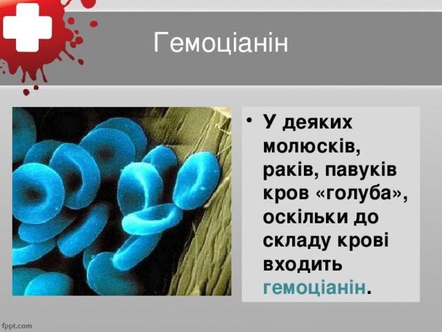 Гемоціанін