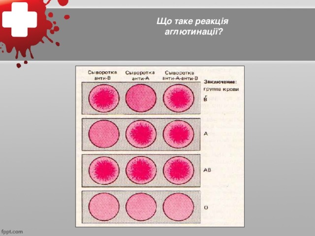 Що таке реакція аглютинації?