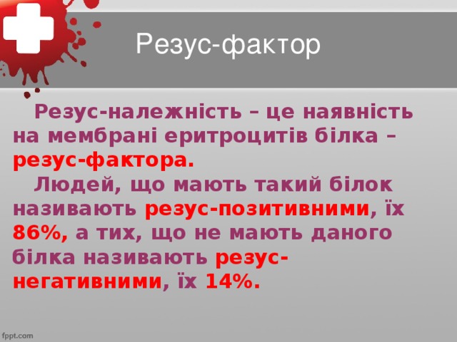 Резус-фактор  Резус-належність – це наявність на мембрані еритроцитів білка – резус-фактора.  Людей, що мають такий білок називають резус-позитивними , їх 86%, а тих, що не мають даного білка називають резус-негативними , їх 14%.