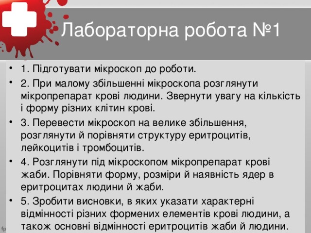 Лабораторна робота №1 1. Підготувати мікроскоп до роботи. 2. При малому збільшенні мікроскопа розглянути мікропрепарат крові людини. Звернути увагу на кількість і форму різних клітин крові. 3. Перевести мікроскоп на велике збільшення, розглянути й порівняти структуру еритроцитів, лейкоцитів і тромбоцитів. 4. Розглянути під мікроскопом мікропрепарат крові жаби. Порівняти форму, розміри й наявність ядер в еритроцитах людини й жаби. 5. Зробити висновки, в яких указати характерні відмінності різних формених елементів крові людини, а також основні відмінності еритроцитів жаби й людини.