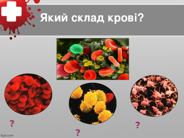 Який склад крові? ? ? ?