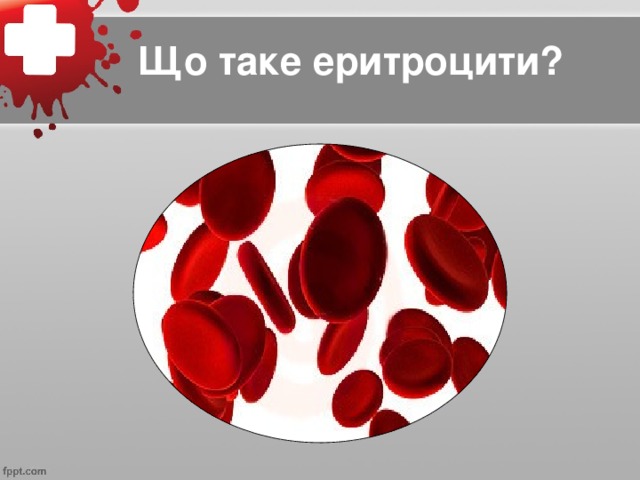 Що таке еритроцити?
