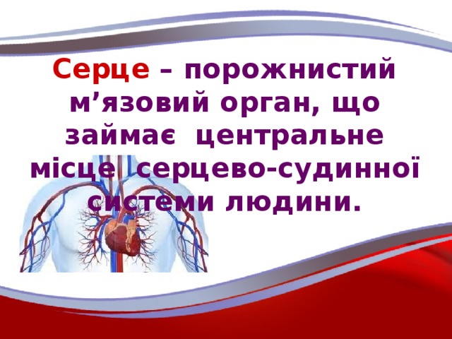 Серце – порожнистий м’язовий орган, що займає центральне місце серцево-судинної системи людини.