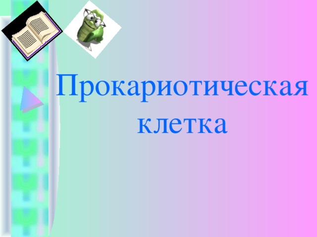 Прокариотическая клетка 